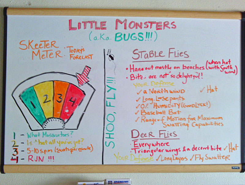 mosquito meter at the picurted rocks visitor center