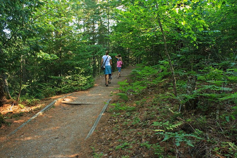 the island trail at the lower tahquamenon falls