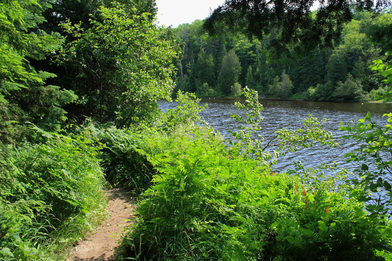 hiking along the river