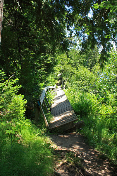 brige on the tahquamenon river trail