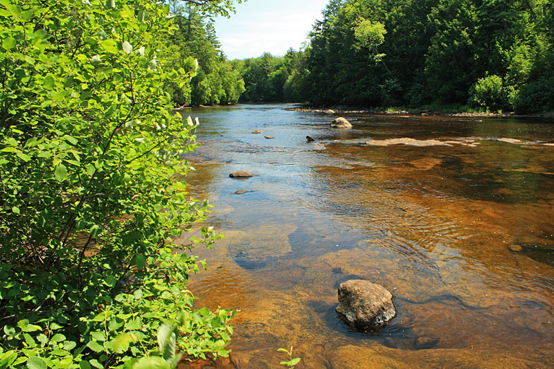 nearing the lower falls