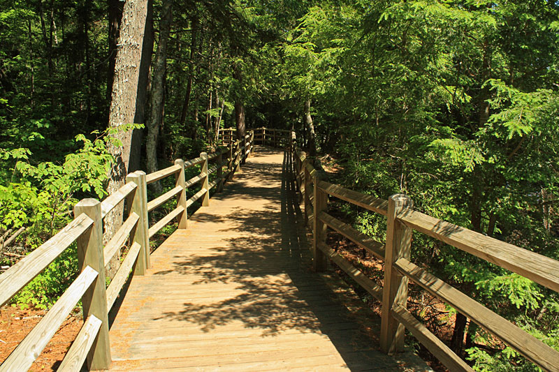 lower falls board walk