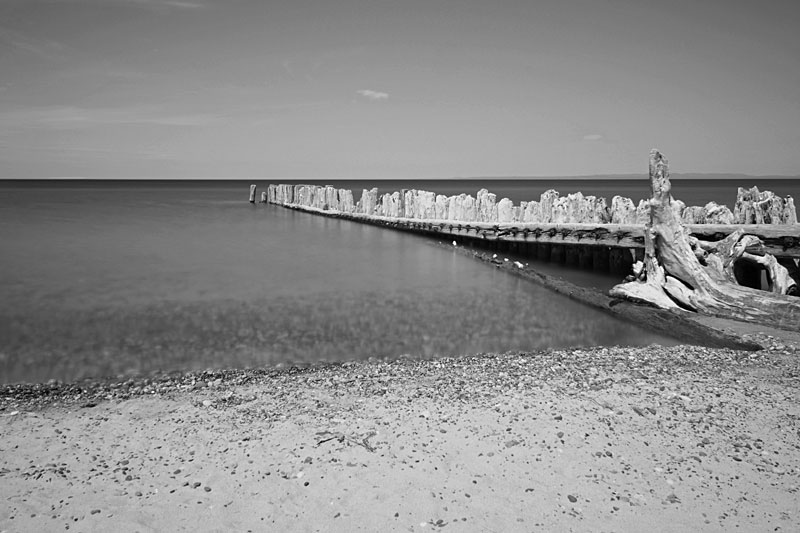 whitefish point black and white