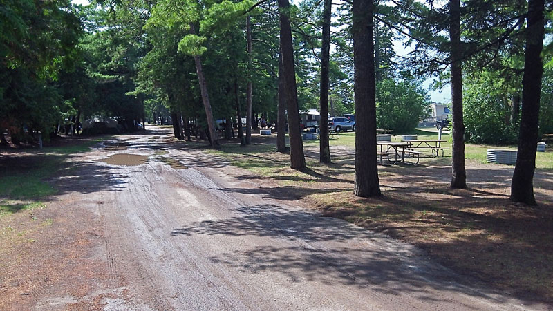 the road in the lakeshore campround at wilderness state park