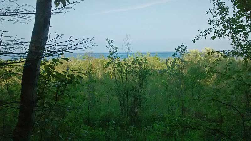 the view of the lake from the back of our campsite at leelanau