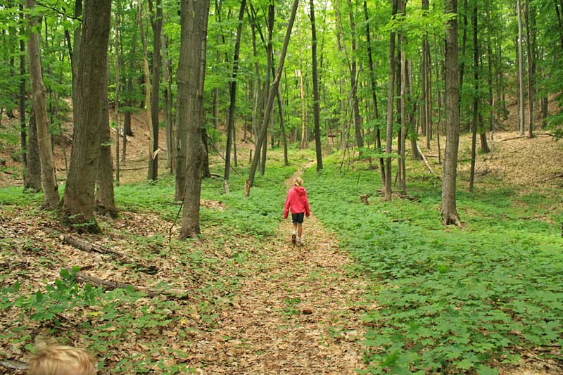 hiking leelanau state park