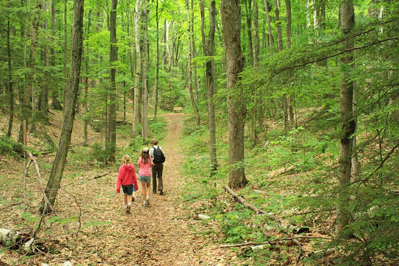 the trail junction leelanau state park