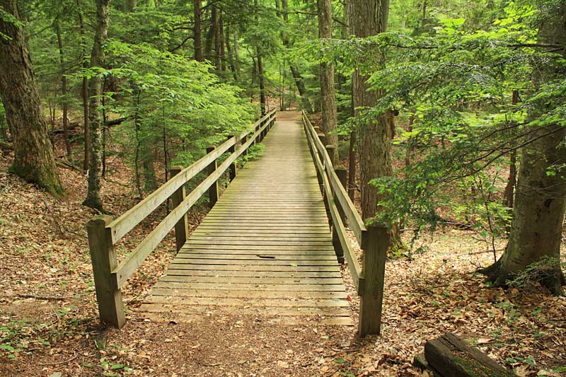 trail bridge leelanau state park