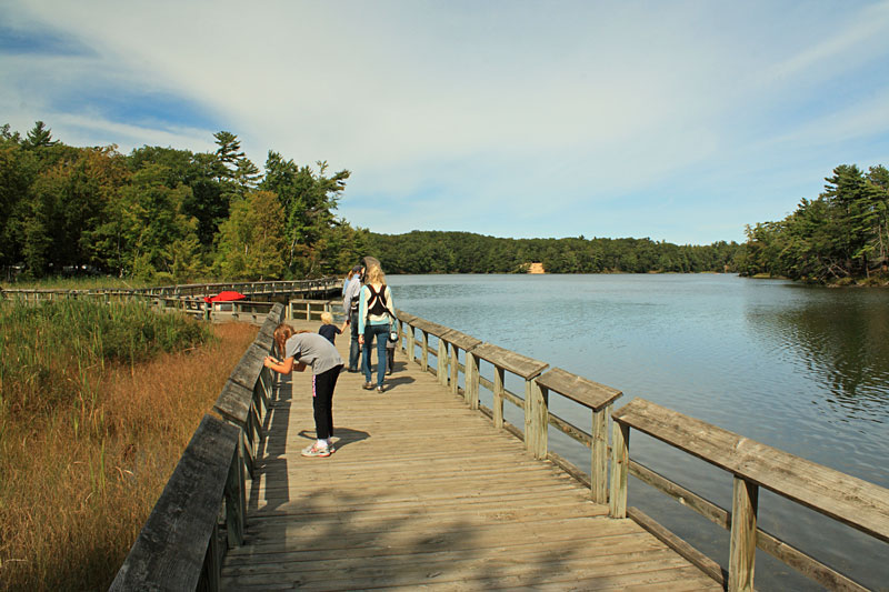 lost lake boardwalk