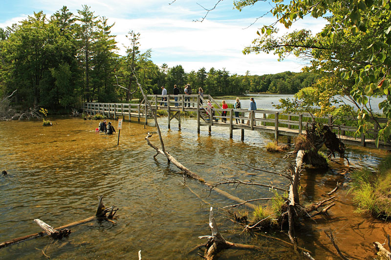 the bridge to the islands trail