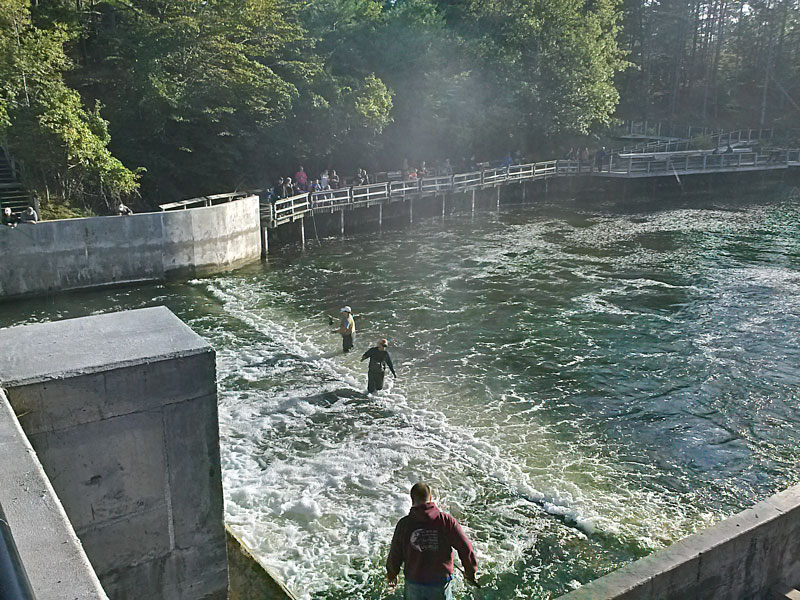 hamlin dam fishing