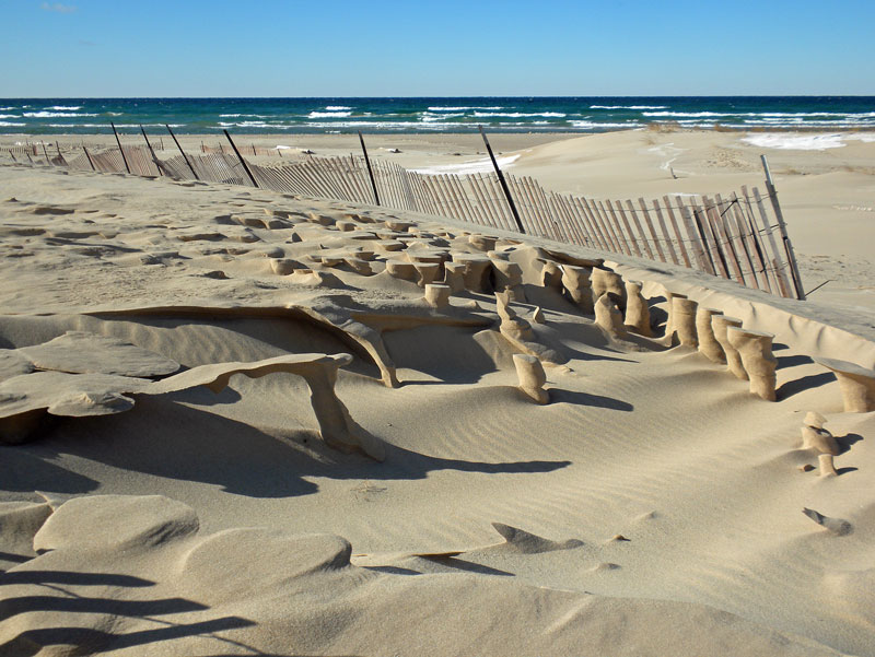 sand sculptures on the beach at ludington state park