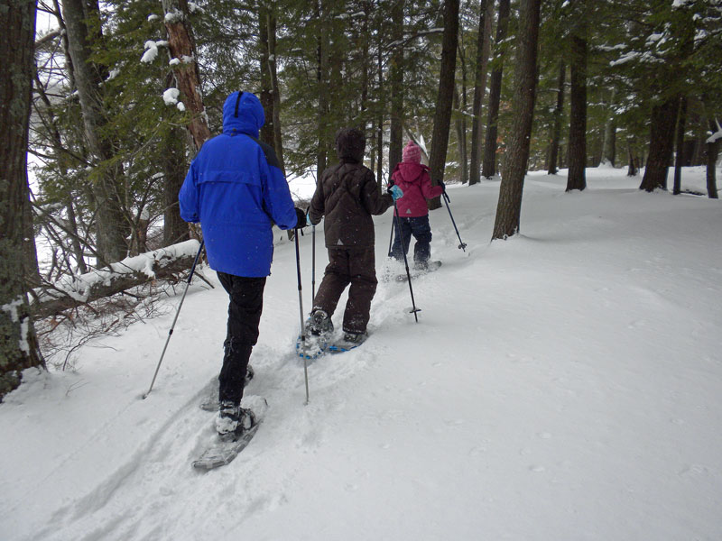 snowshoeing the island trail in ludington state park