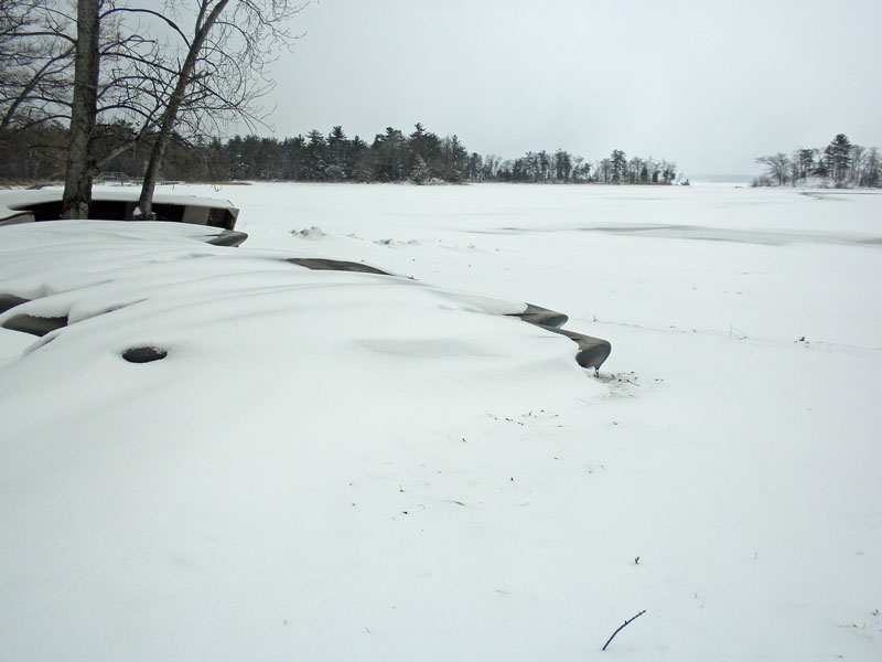 winter along hamlin lake at ludington state park