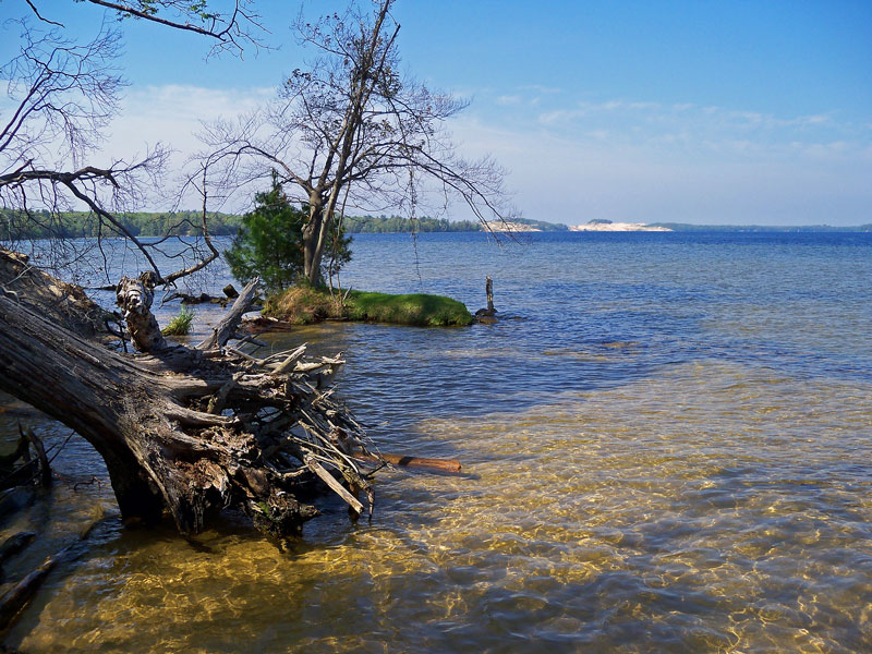 hamlin lake view ludington