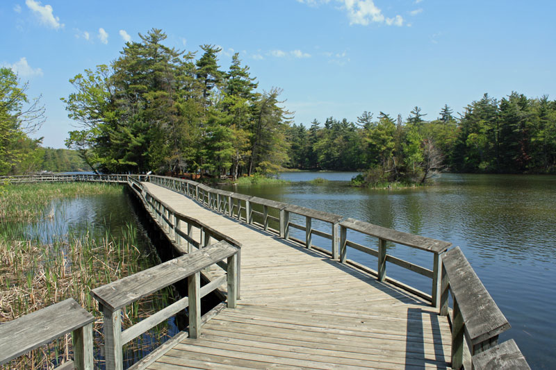 lost lake board walk LSP