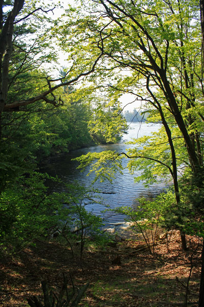 lost lake trail ludington state park