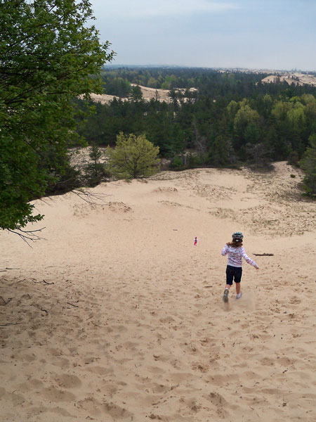 skyline trail ludington state park