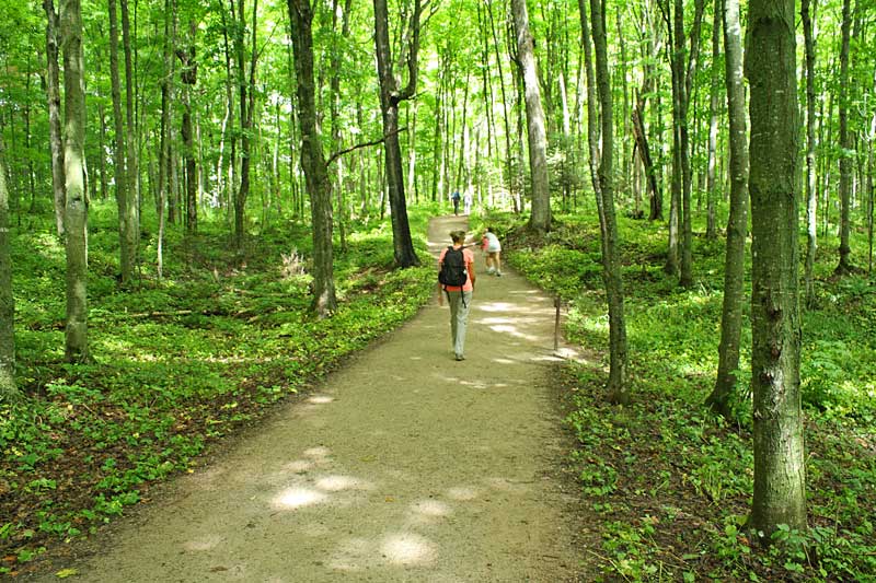 the trail to miners falls