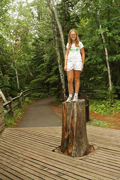 stump at miners castle