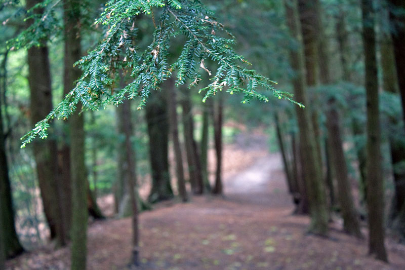 devils kitchen trail muskegon state park