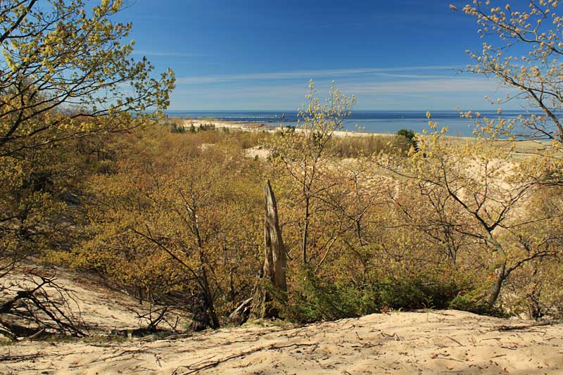 the view from the first overlook on the dune ridge trail