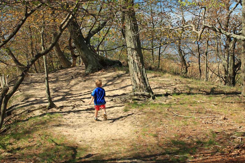 hiking along the dune ridge