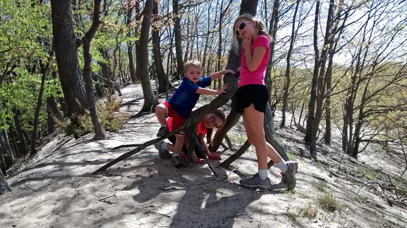 tree roots above the sand dunes