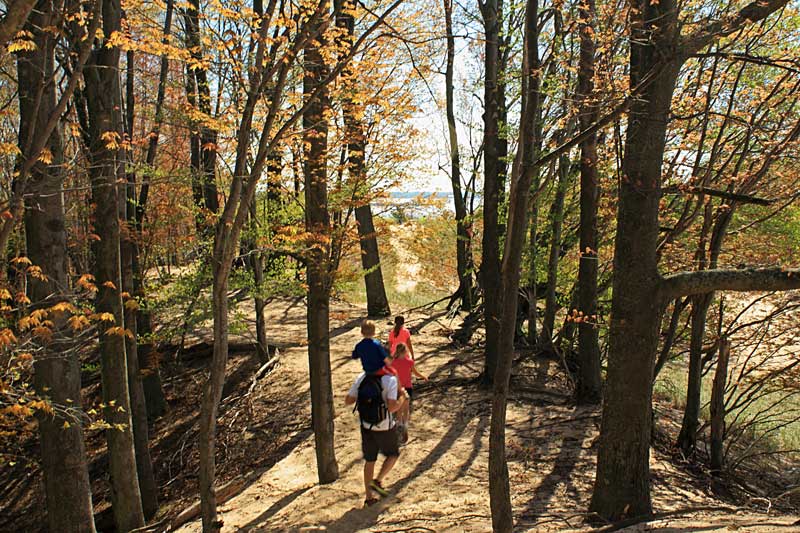 more further along the dune ridge