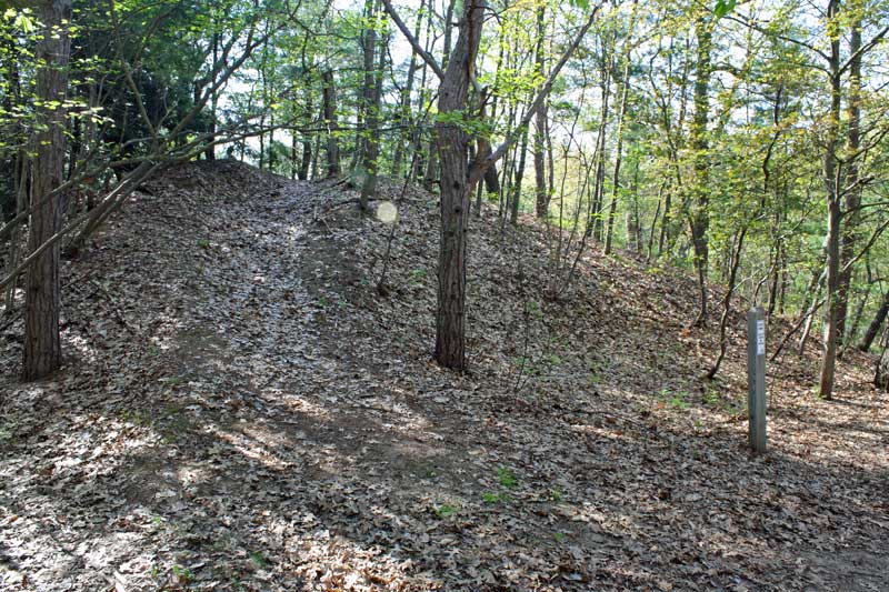 the trailhead for the scenic ridge trail