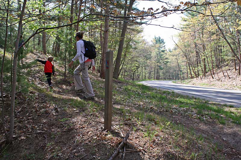 turn at the road on the scenic ridge trail