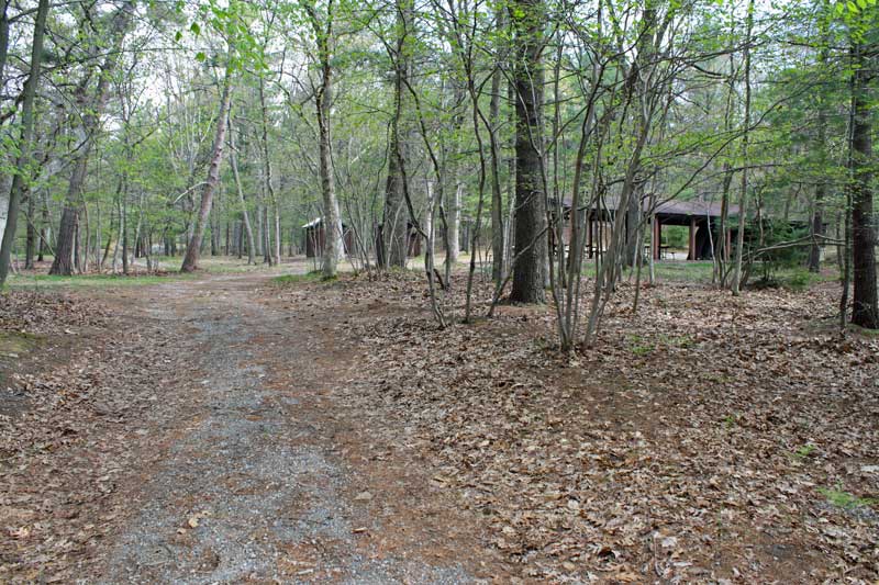 group camp area along the scenic ridge trail