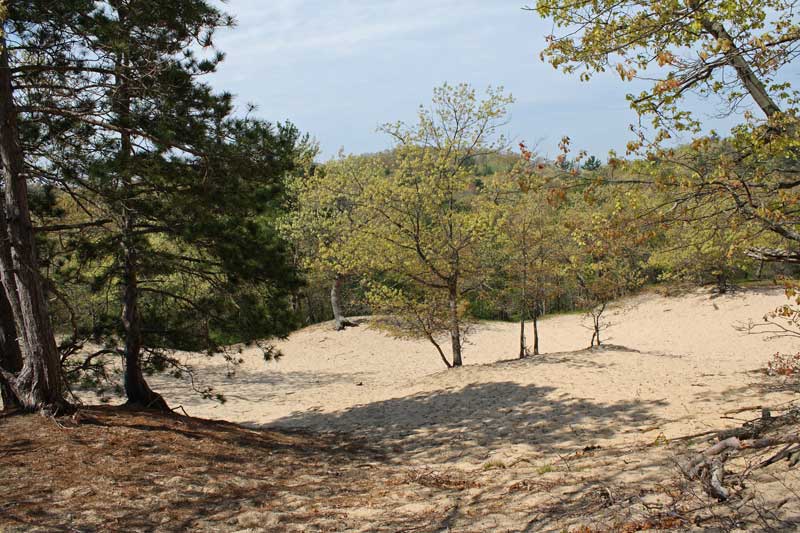 lake michigan view from the trail