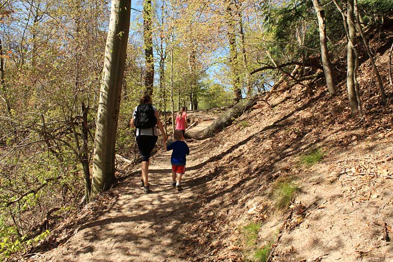 the dune ridge trail muskegon state park