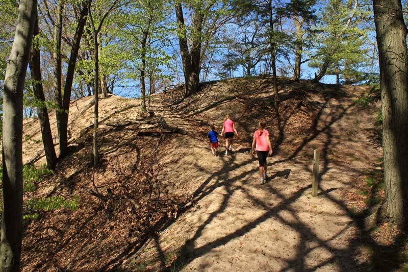 climbing up to the first lookout on the dune ridge trail