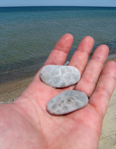 petosky stones on the beach in nordhouse dunes