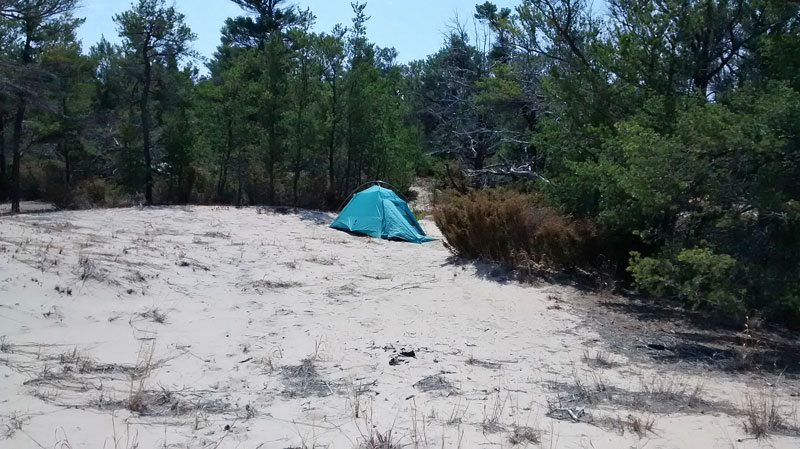 our campsite in nordhouse dunes