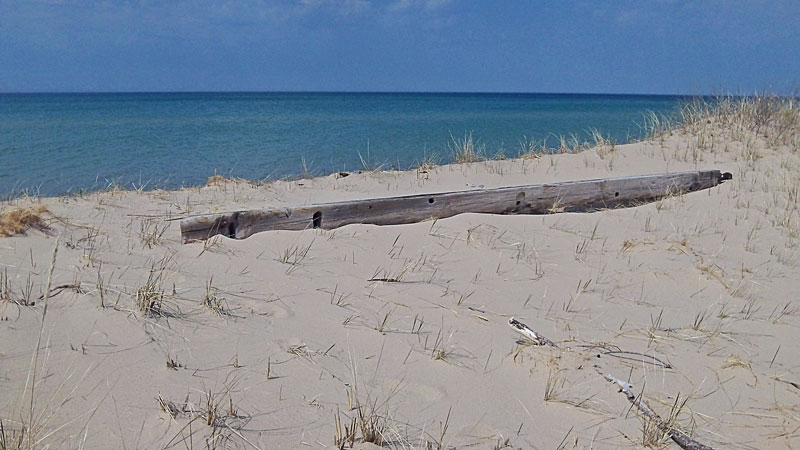 possible ship wreck part at nordhouse dunes