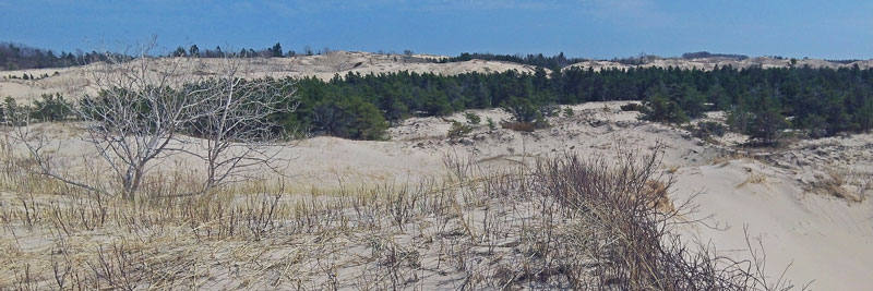 looking towards the interior of nordhouse dunes