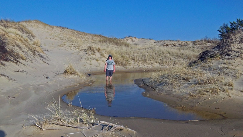 interdune pond in nordhouse dune wilderness area