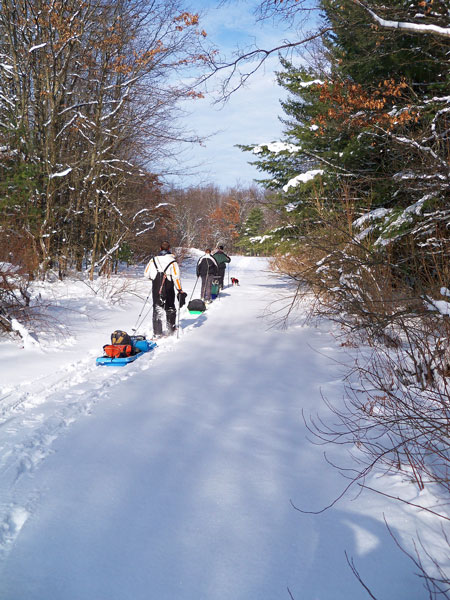 nearing the end of the pine valleys pat way