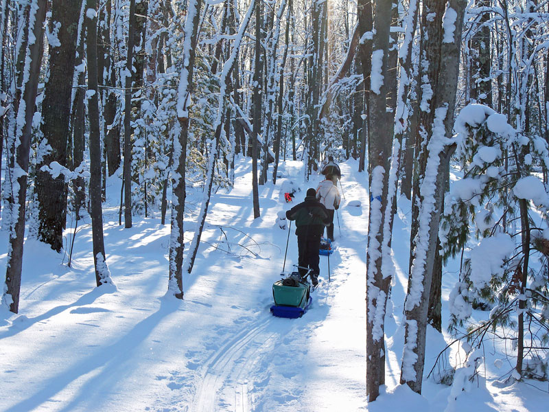 heading in on the pine valleys pathway