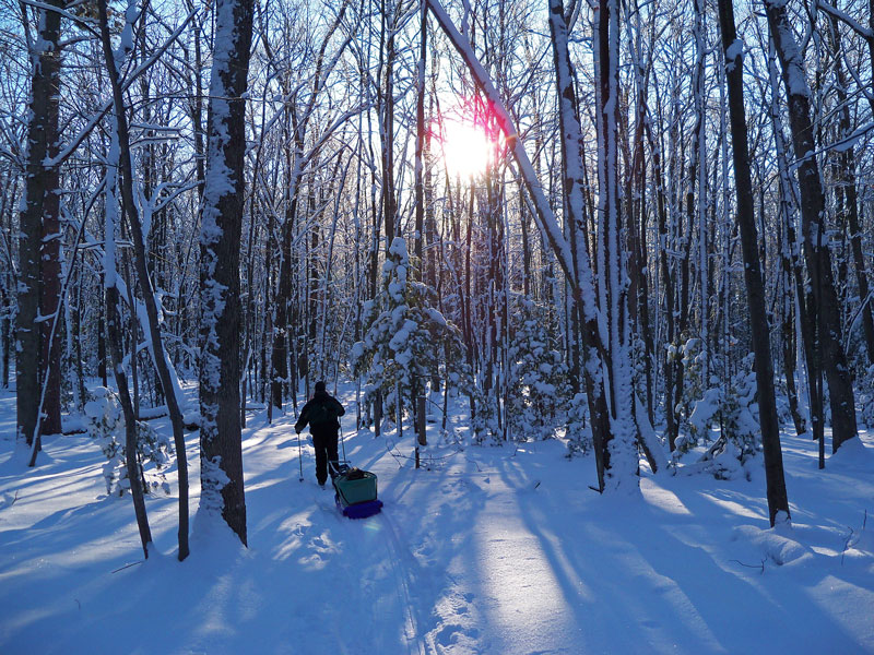 heading in on the pine valleys pathway