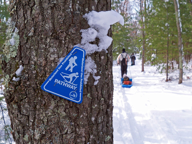 heading back out on the pine valleys pathway