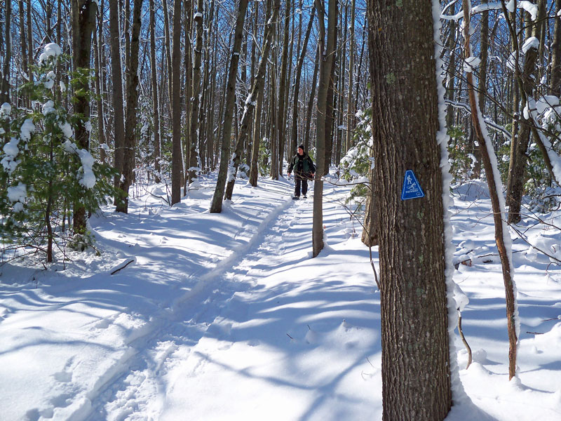 snowshoeing the pine valley pathway south loop