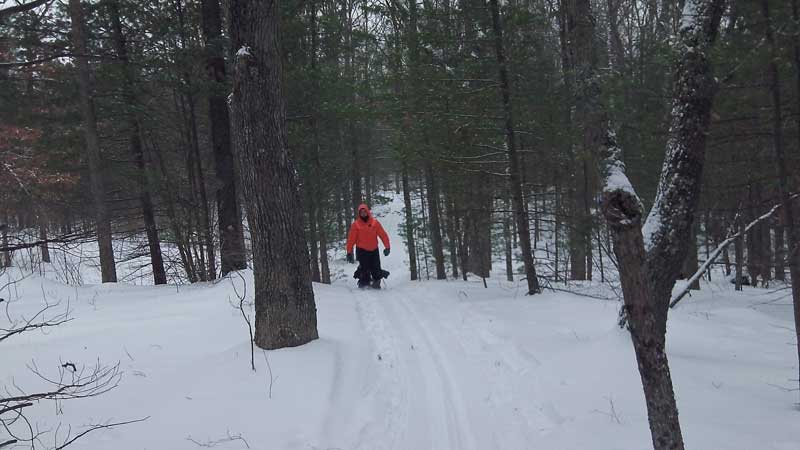 taking the south route back to the trailhead pine valleys pathway