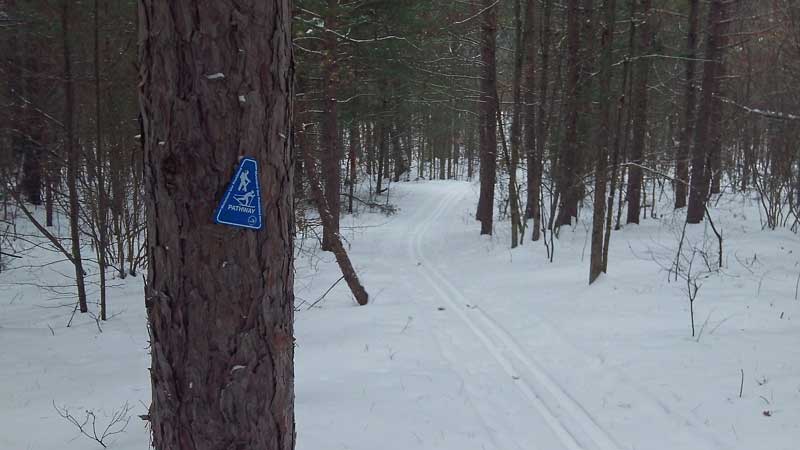 trailmarker on the south route back to the parking area