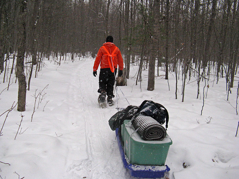 snowing on the way back to the pine valleys path trailhead