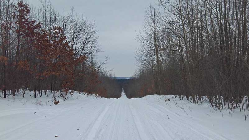 crossing the snowmobile trail pine valleys path north loop