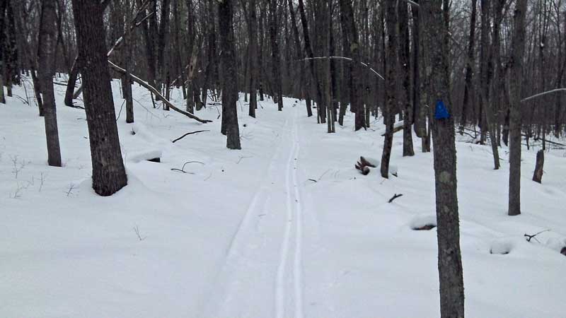 snowshoeing pine valleys pathway north loop